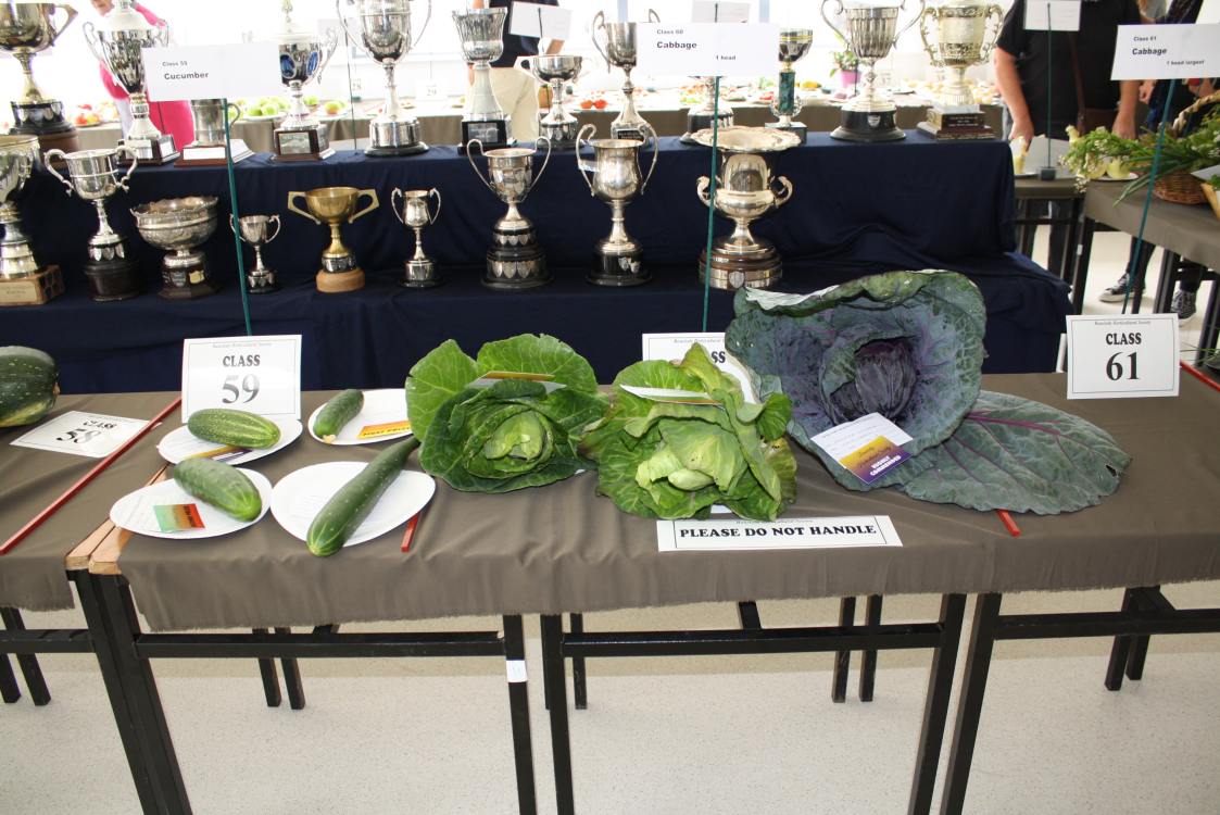 ../Images/64th Bunclody Horticultural Show 2015 - 49.jpg